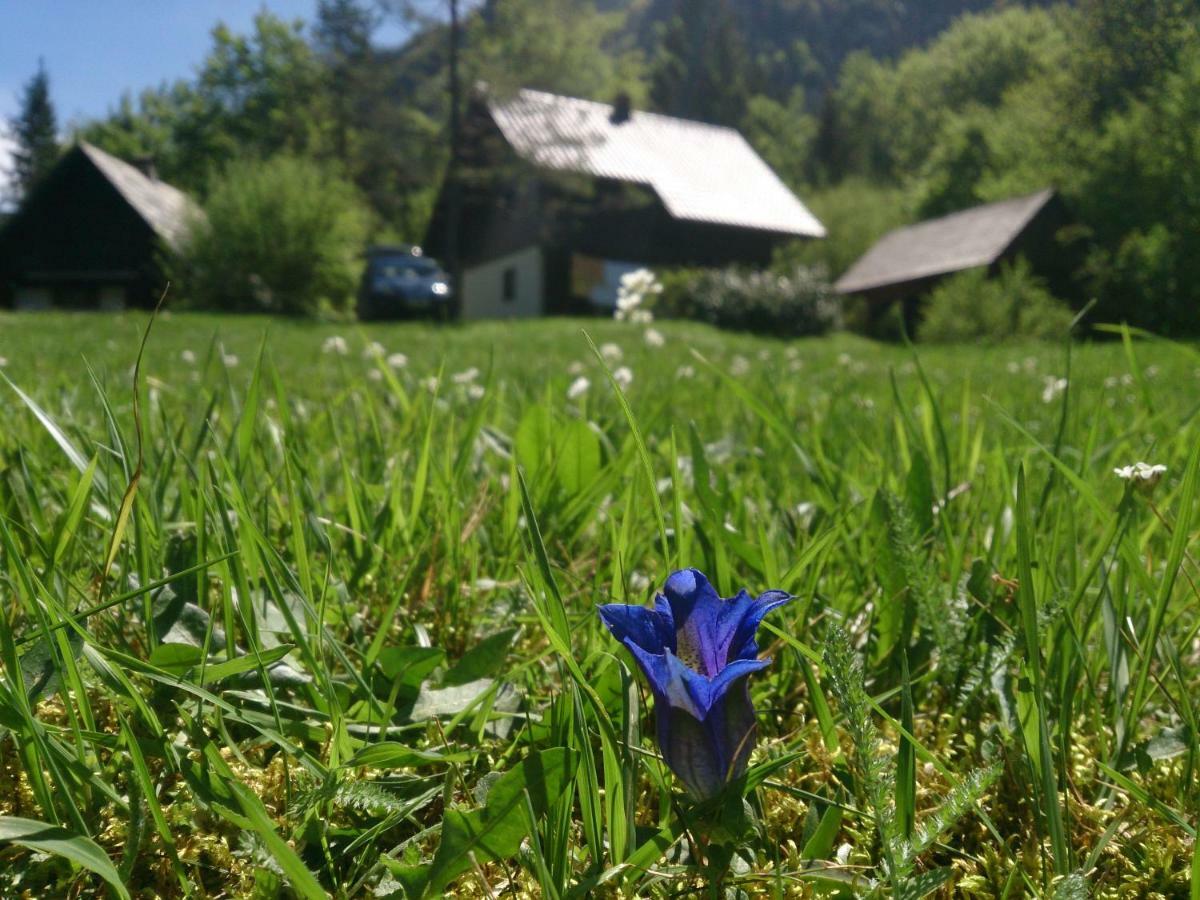 Apartmaji Zupancic Bohinj Exterior photo